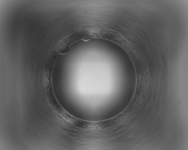 X0000075830702200609151239