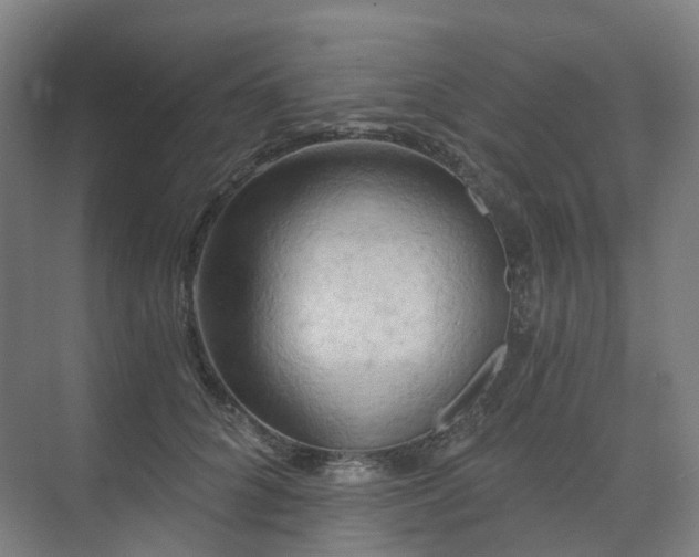 X0000075830704200609151239