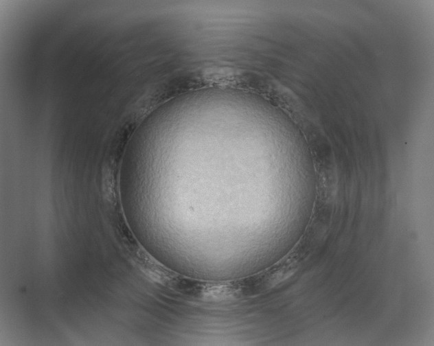 X0000075830705200609151238