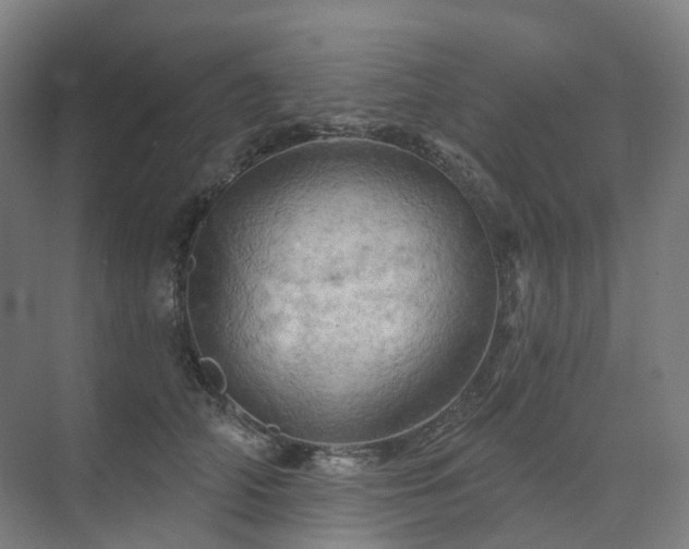 X0000075830706200609151238