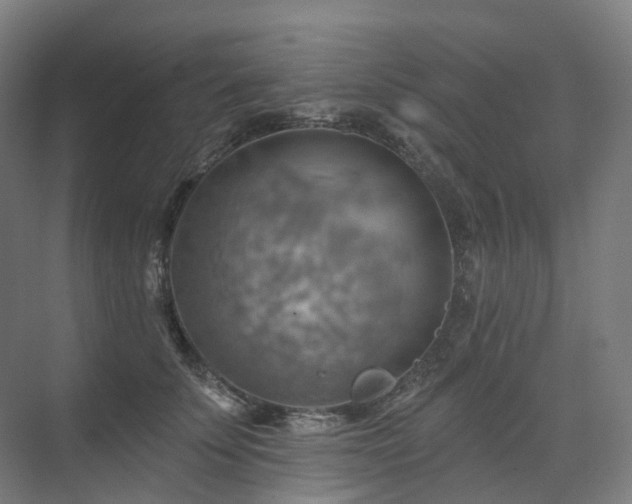 X0000075830707200609151238