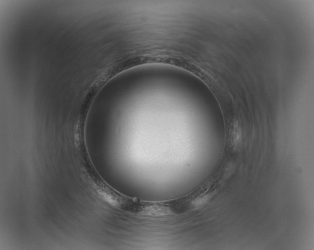 X0000075830708200609151238