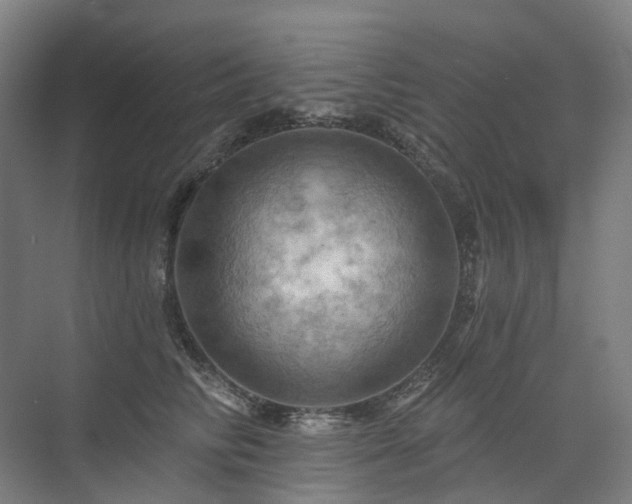 X0000075830710200609151238