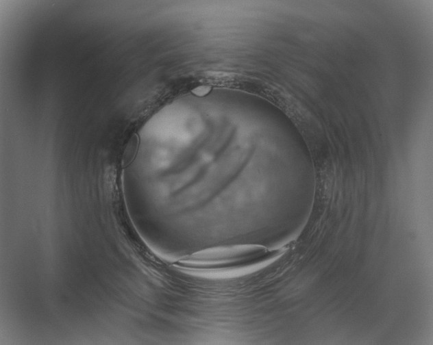 X0000075830711200609151238