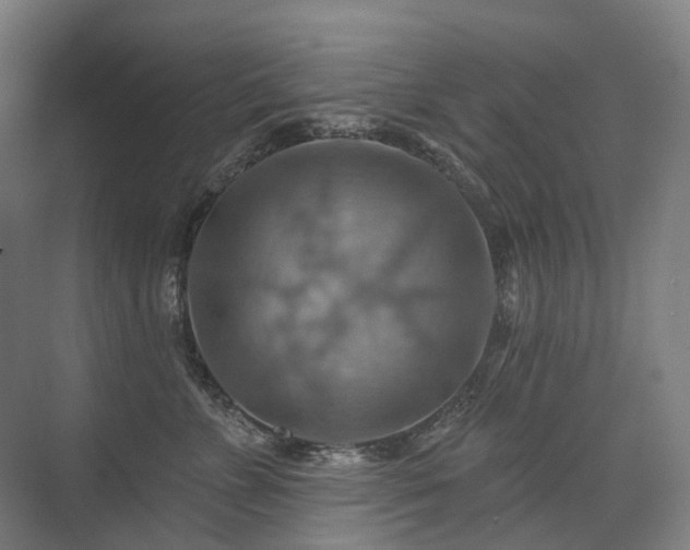 X0000075830715200609151238