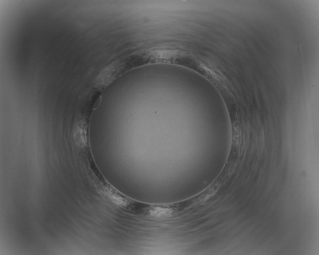 X0000075830718200609151238