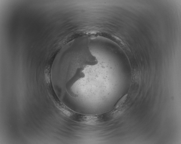 X0000075830719200609151238