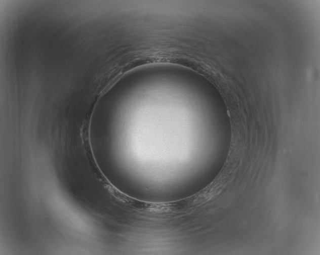 X0000075830720200609151238