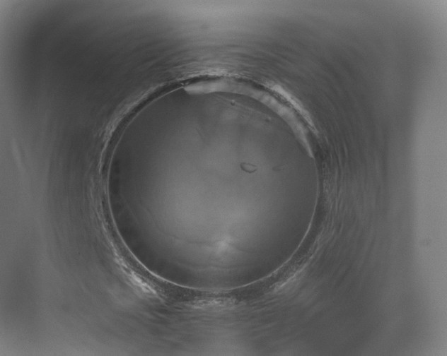 X0000075830721200609151237