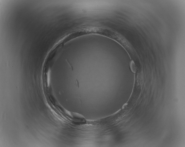 X0000075830722200609151237