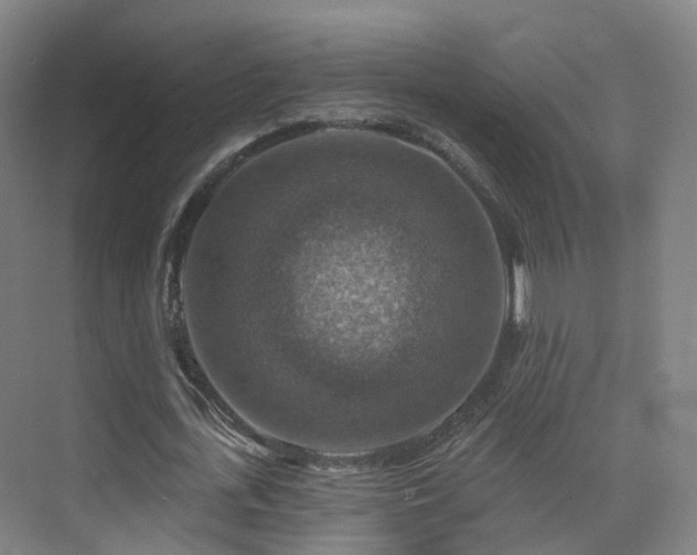 X0000075830723200609151237