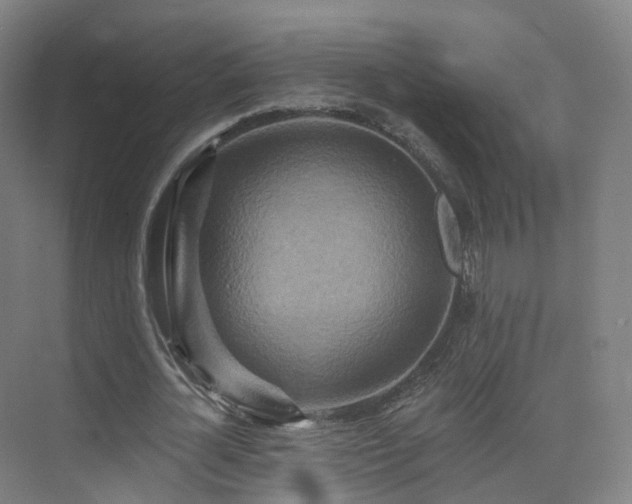 X0000075830724200609151237