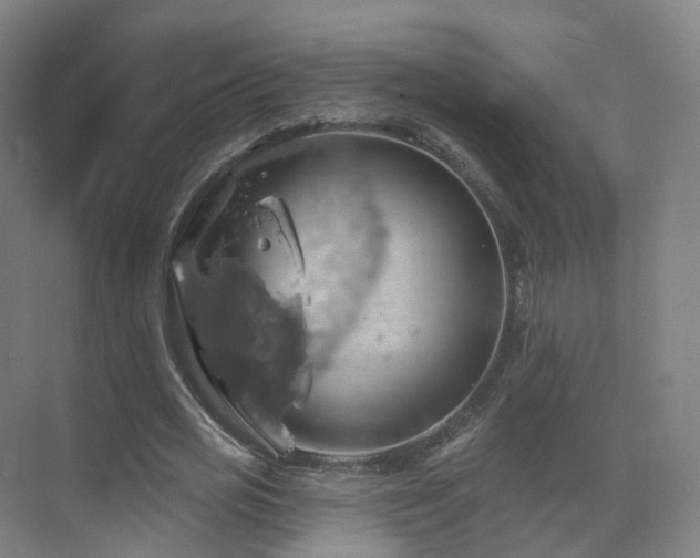 X0000075830725200609151237