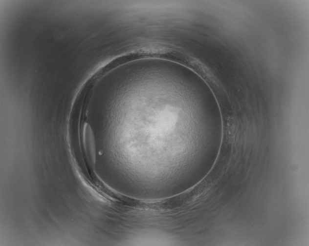 X0000075830726200609151238