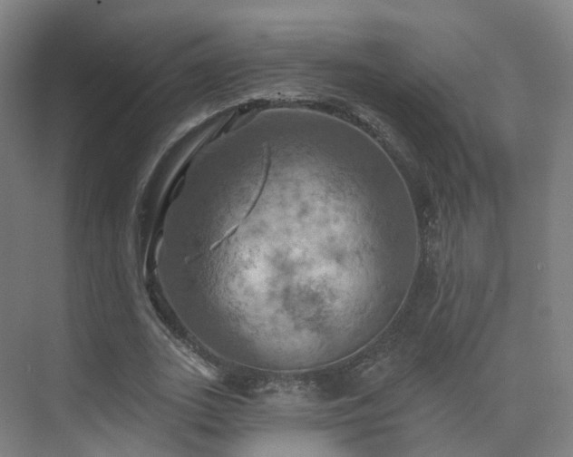 X0000075830727200609151238