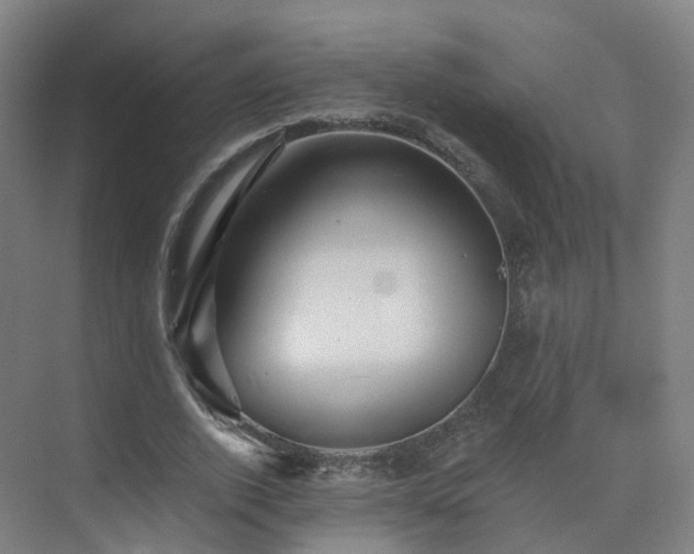 X0000075830728200609151238