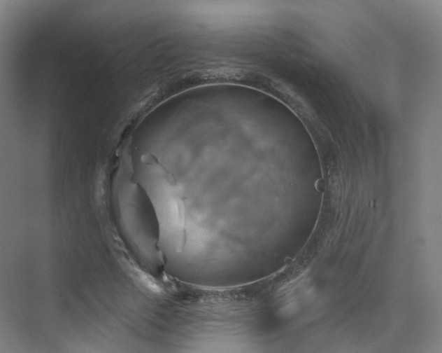 X0000075830729200609151238