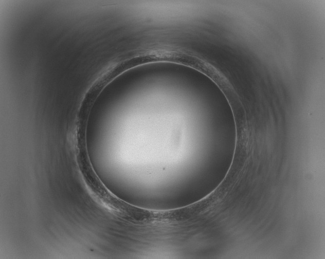 X0000075830730200609151238