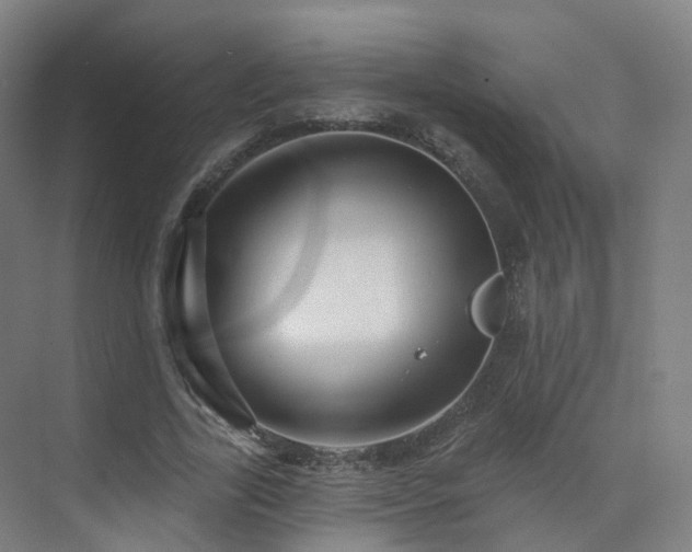 X0000075830731200609151238