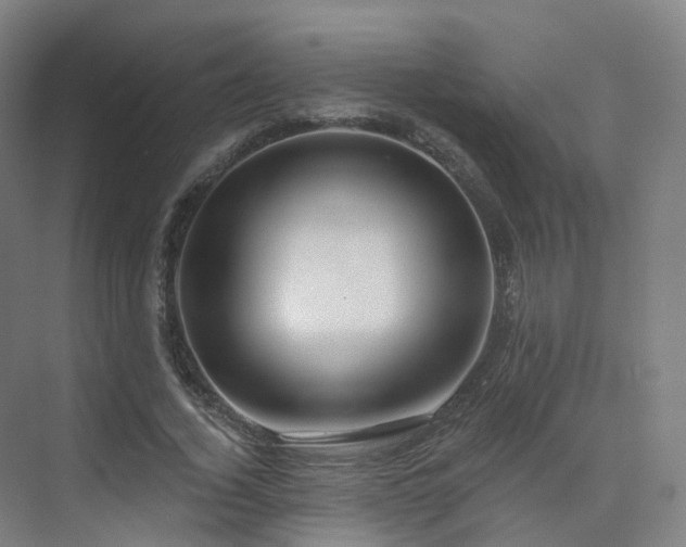 X0000075830732200609151238