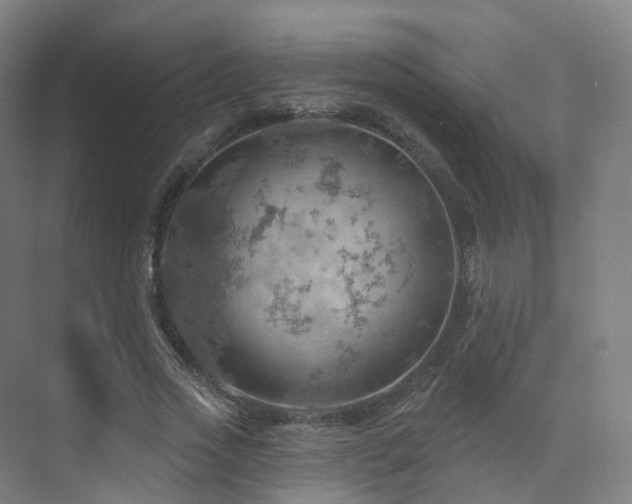 X0000075830733200609151238