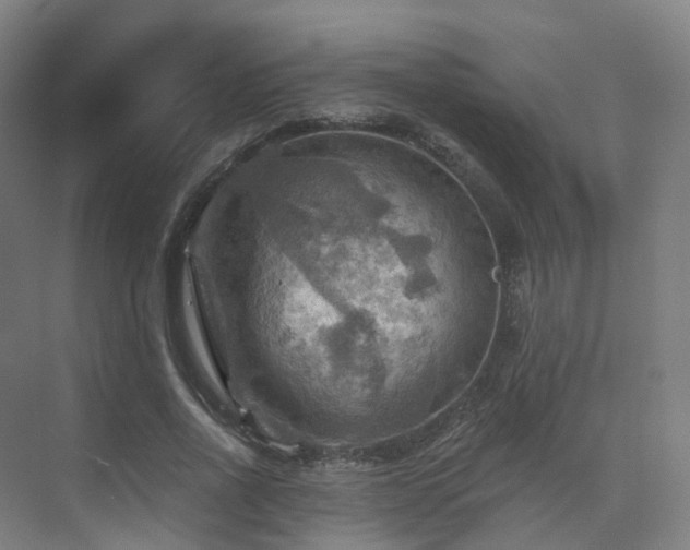 X0000075830734200609151238