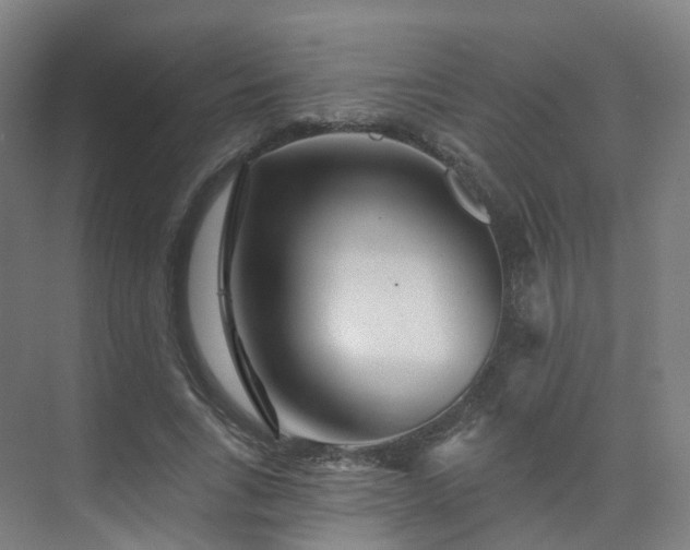 X0000075830735200609151238