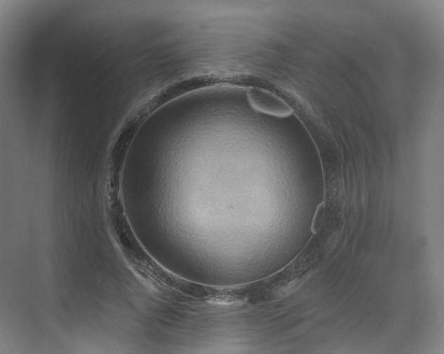 X0000075830736200609151238