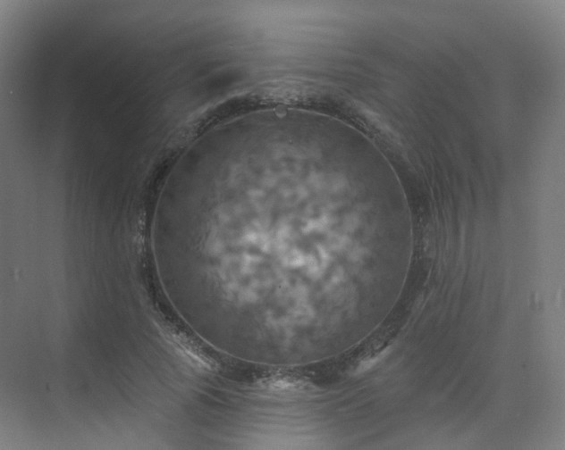 X0000075830737200609151238