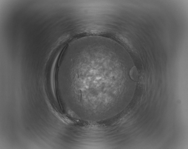 X0000075830738200609151238