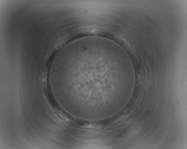 X0000075830739200609151238