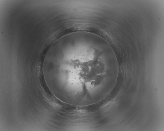 X0000075830741200609151238