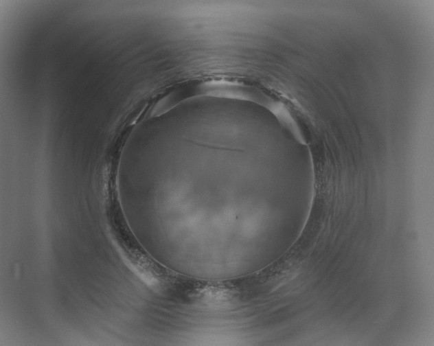 X0000075830742200609151238