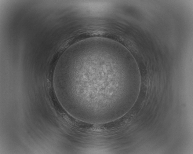 X0000075830743200609151238