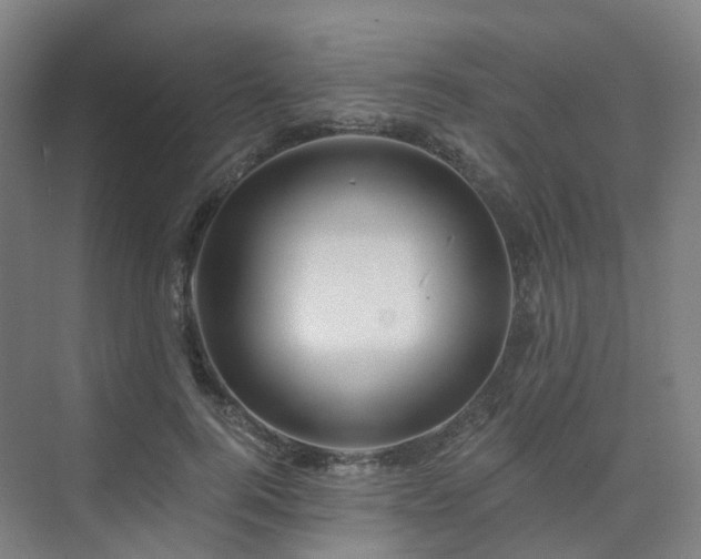 X0000075830744200609151238