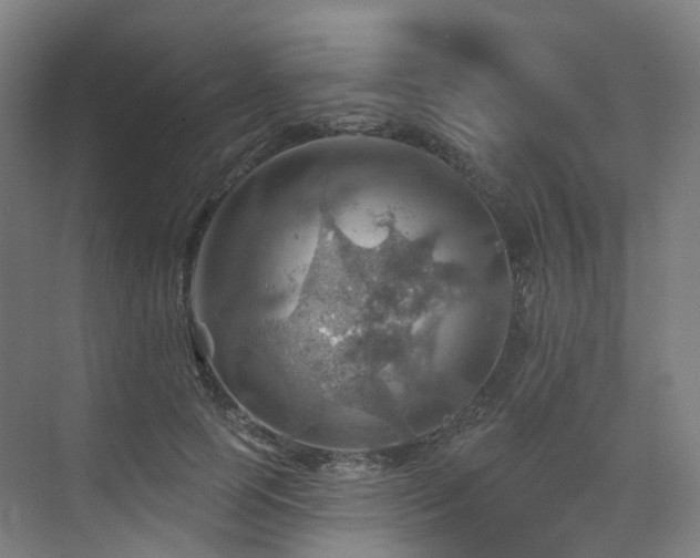 X0000075830745200609151238