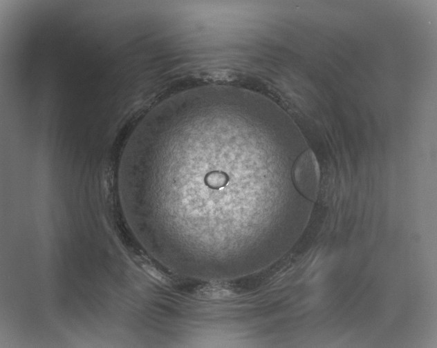 X0000075830747200609151238