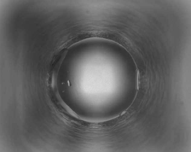 X0000075830750200609151238