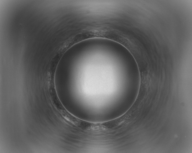 X0000075830752200609151238