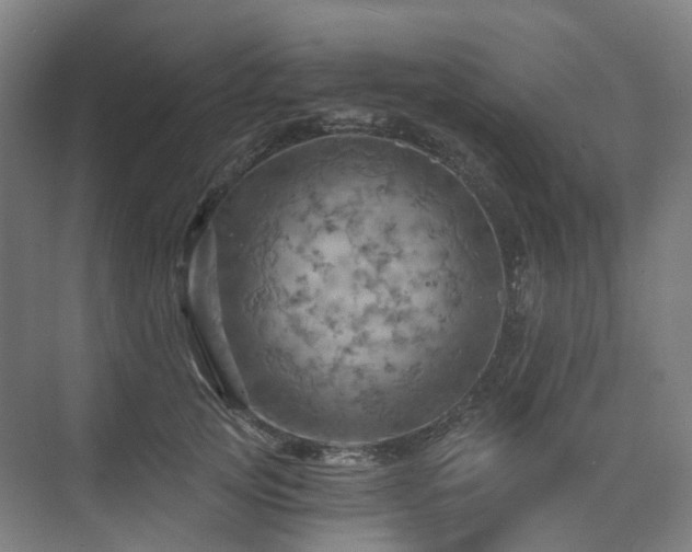 X0000075830753200609151238