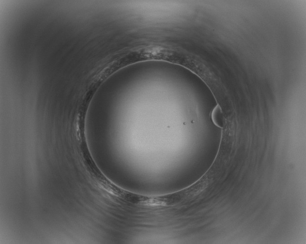 X0000075830754200609151238