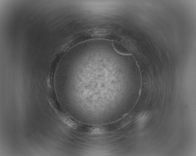 X0000075830755200609151238