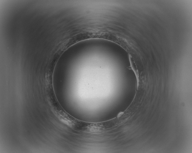 X0000075830756200609151238