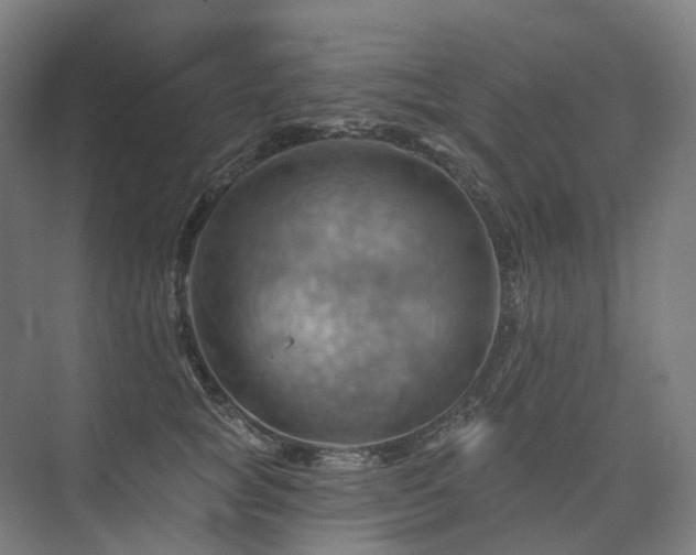 X0000075830757200609151238