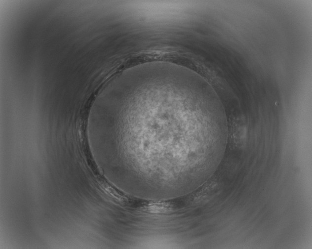 X0000075830758200609151238