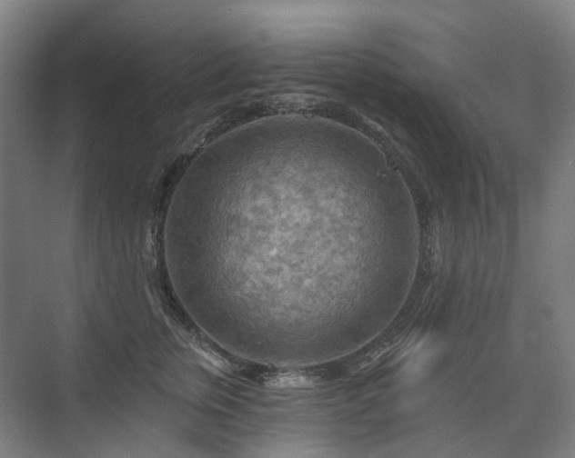 X0000075830759200609151238