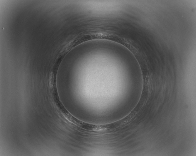 X0000075830760200609151238