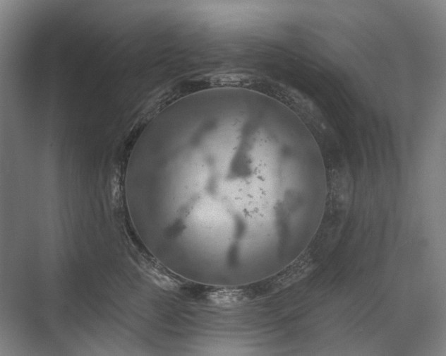 X0000075830761200609151238