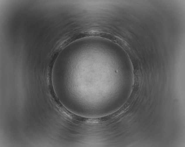 X0000075830762200609151238