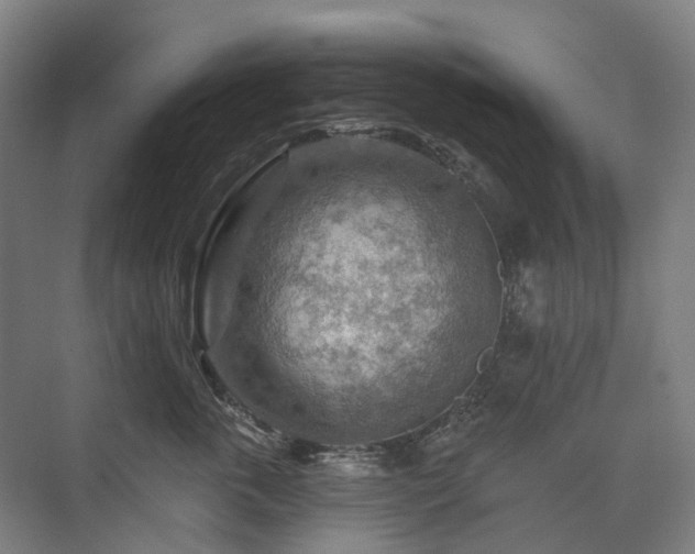 X0000075830763200609151238